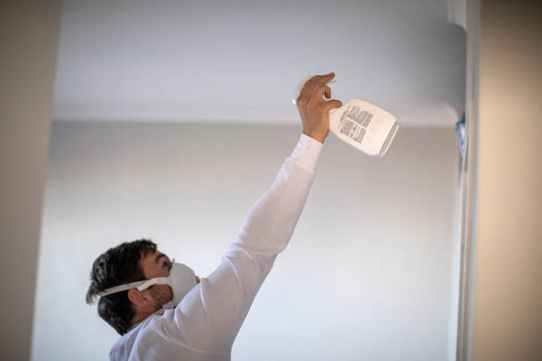 Home Mold Removal in High Point, FL