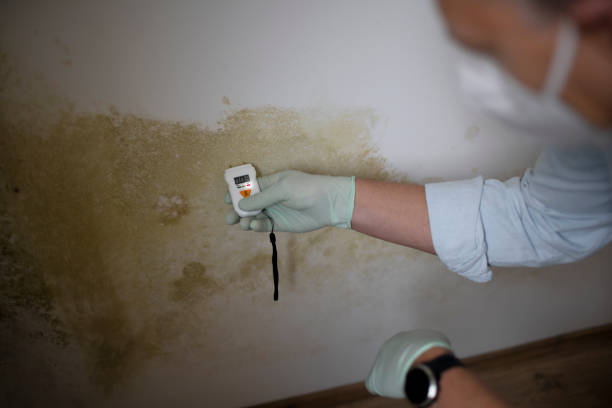 Water Damage Restoration in High Point, FL