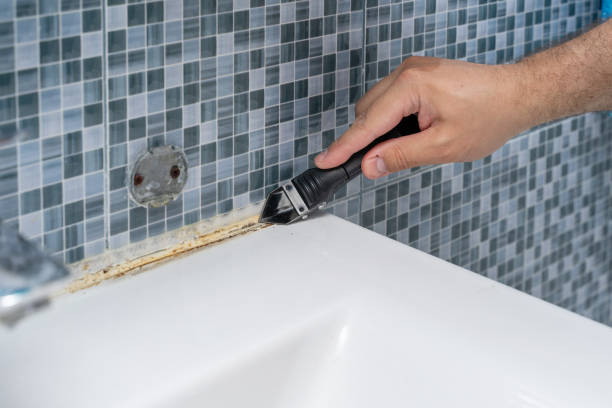  High Point, FL Mold Removal Pros